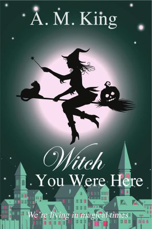 [The Summer Sisters Witch Cozy Mystery 03] • Witch You Were Here